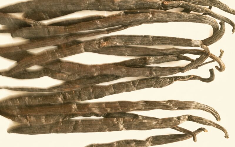 Expert grading vanilla beans by quality